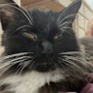 Meet your Posher, Jace